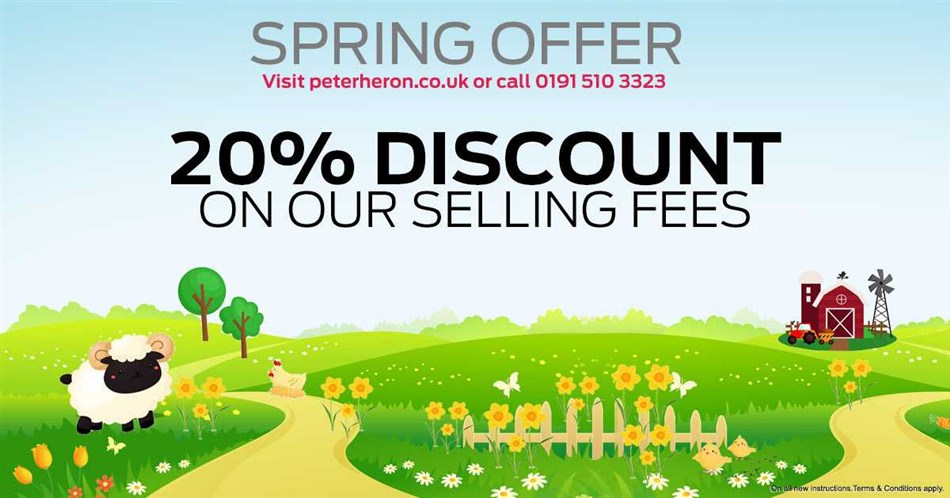 Spring Offer!