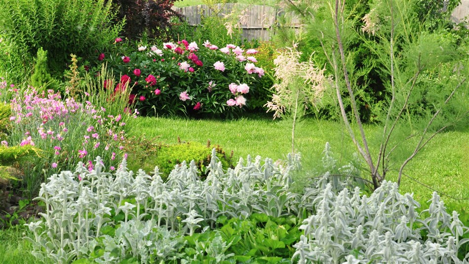 Getting Your Garden Ready to Sell This Spring