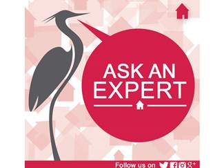 Ask an Expert!