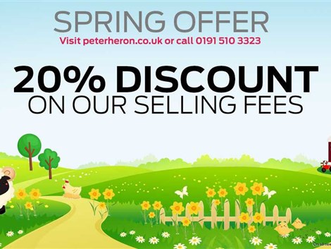 Spring Offer!