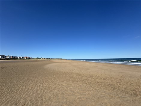 What's It Like Living Near the Coast in Sunderland?
