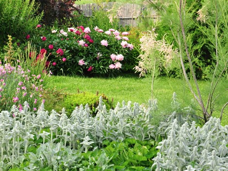 Getting Your Garden Ready to Sell This Spring