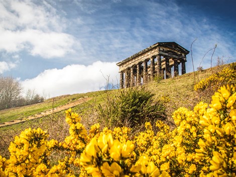 Best Green Spaces and Parks in Sunderland