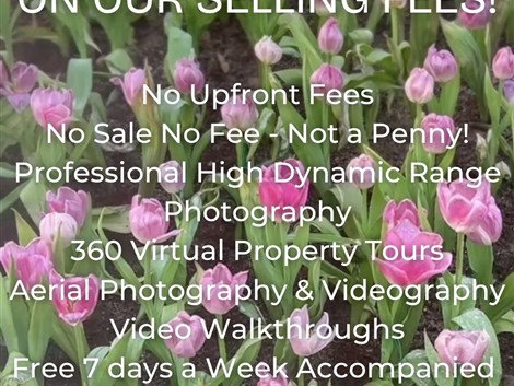 20% Discount on our Selling Fee