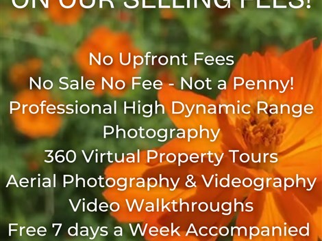 20% Discount on Our Selling Fees